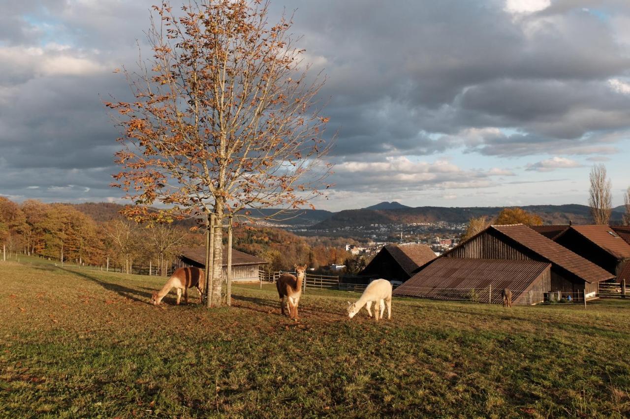 Prophetengut - Die Perle Im Jurapark Habsburg Exterior photo